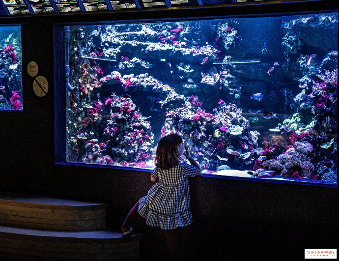 enfant sortie aquarium paris