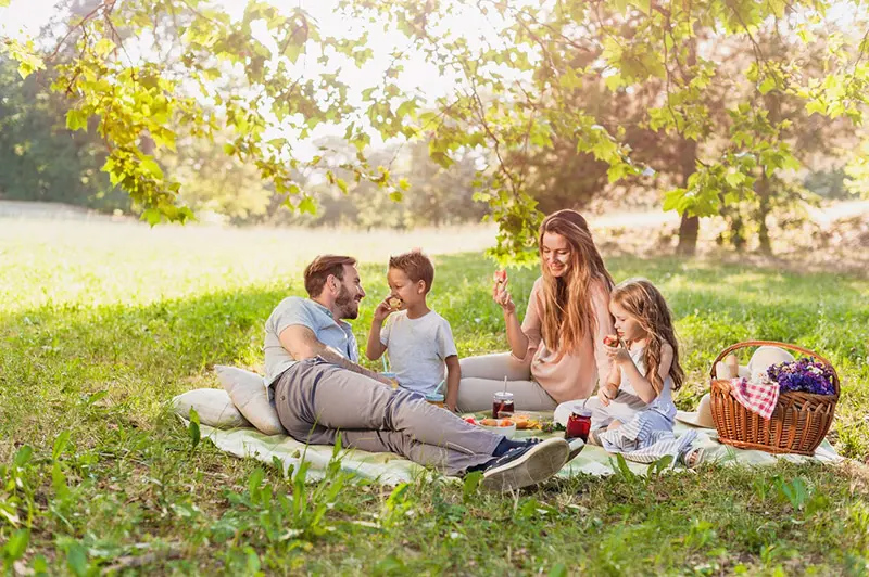 pique nique en famille dans une fôret