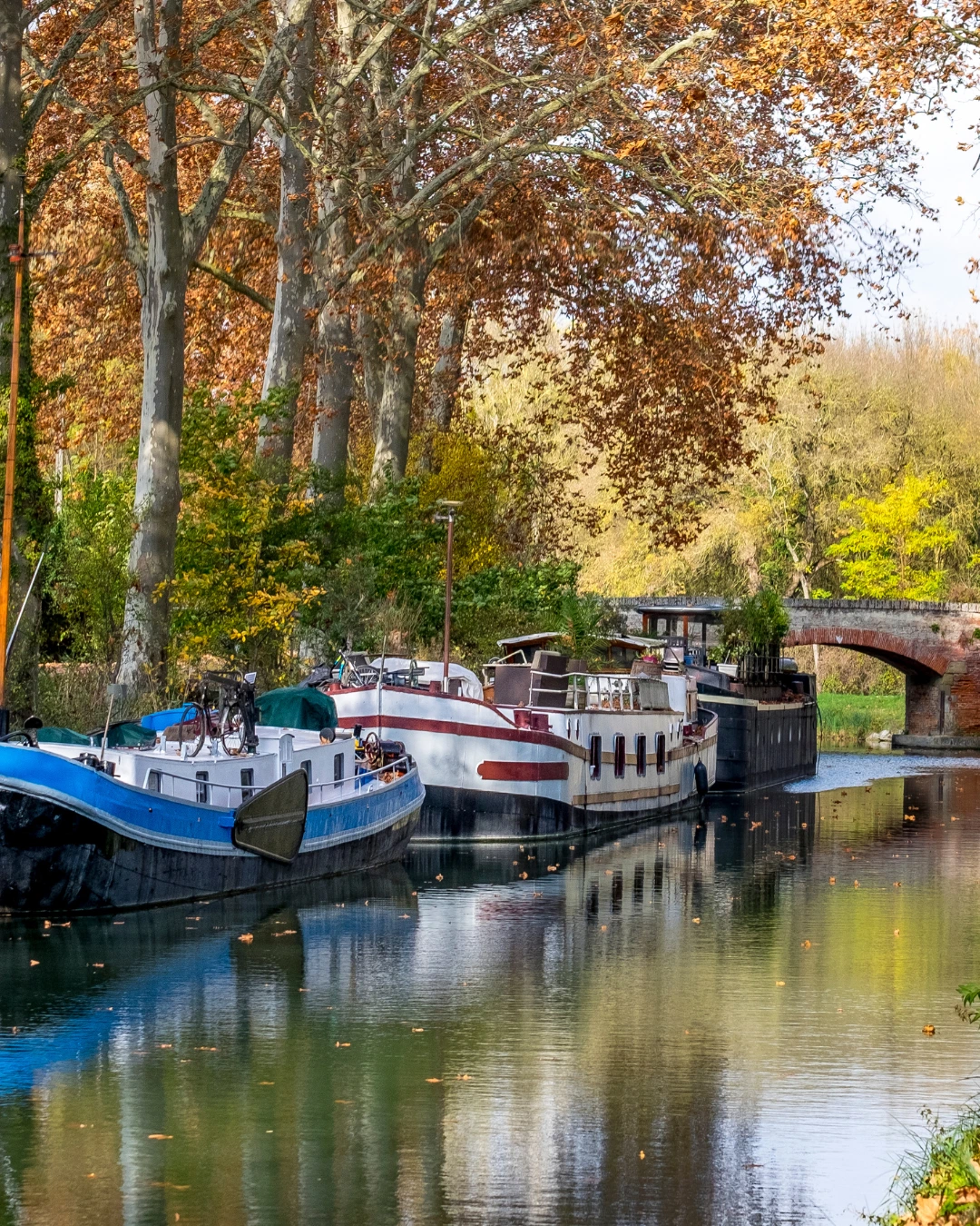 Berge de Garonne à Toulouse en famille