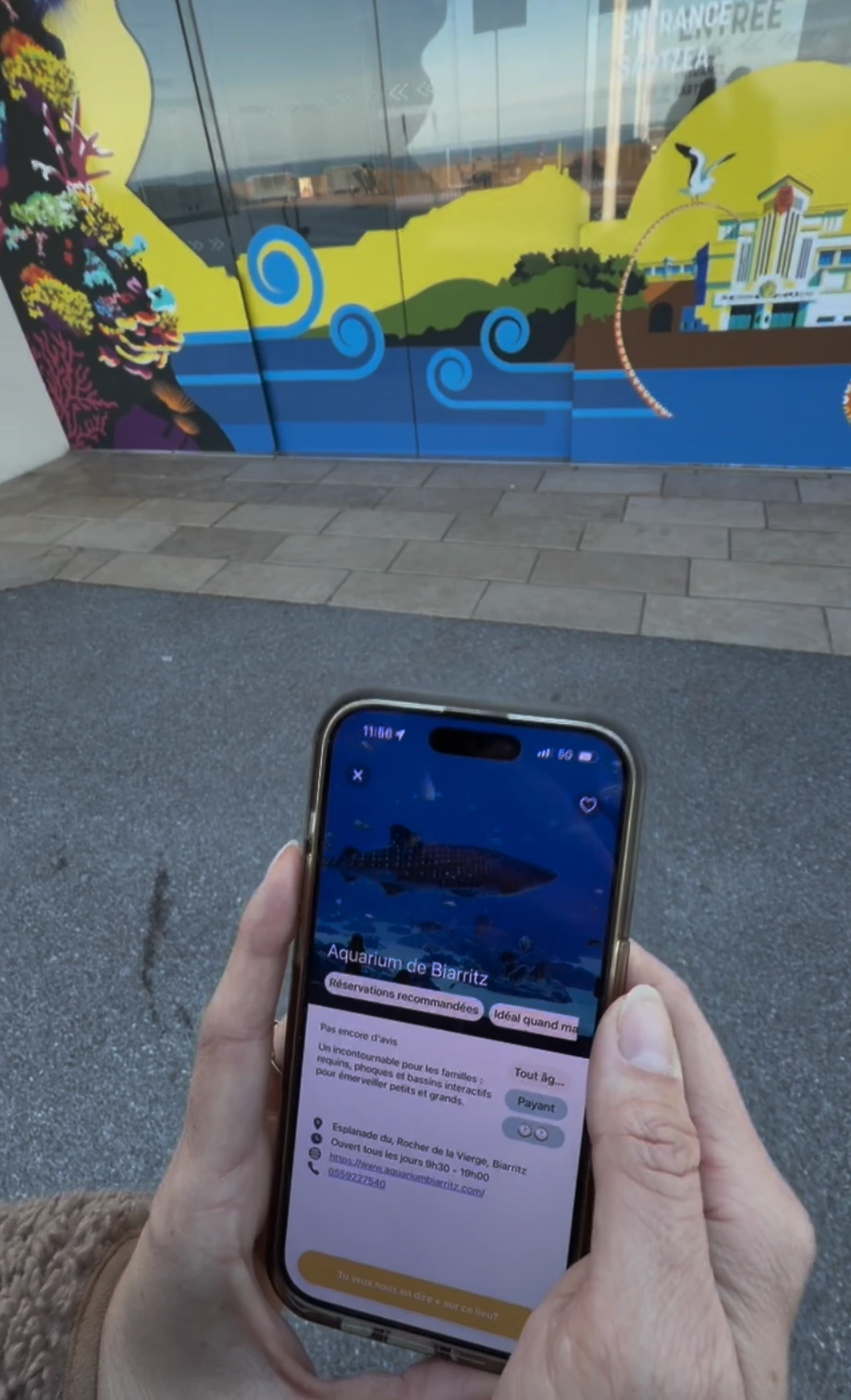 sortir en famille a l'aquarium de biarritz