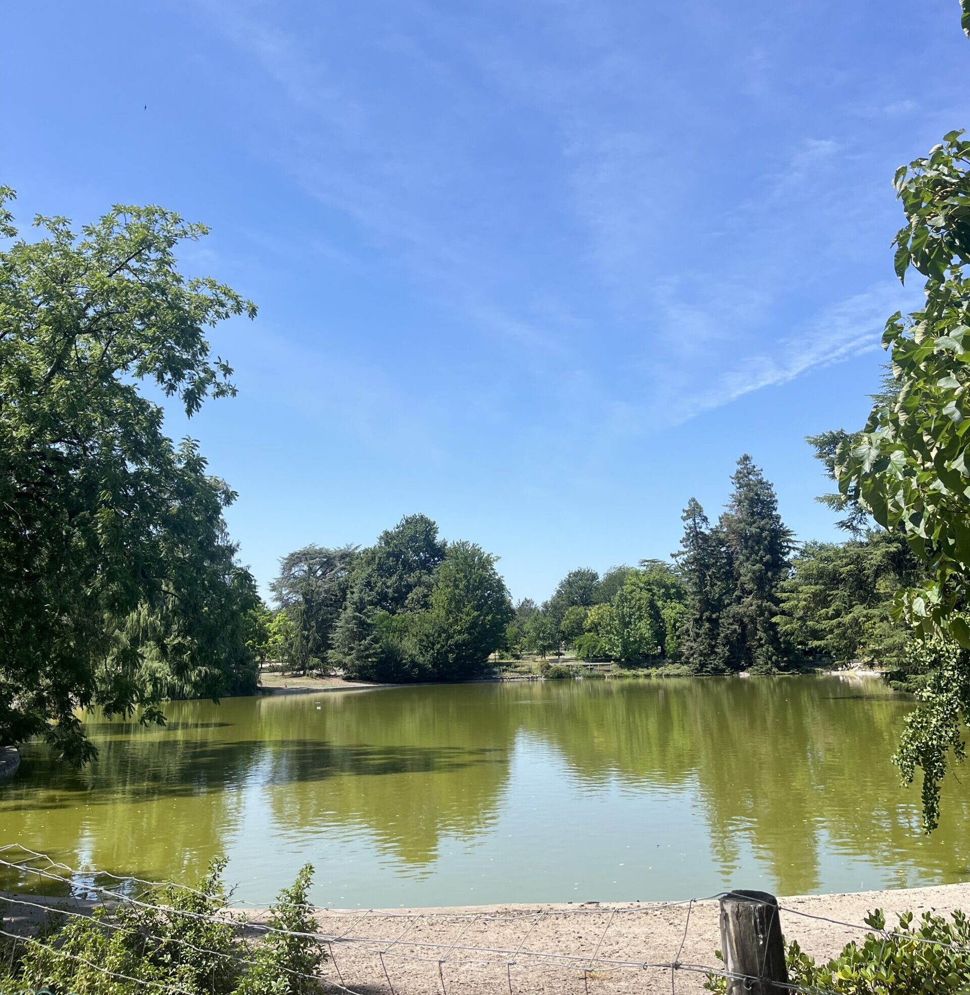parc-idéal-pour-les-sorties-en-famille-en-plein-coeur-de-bordeaux